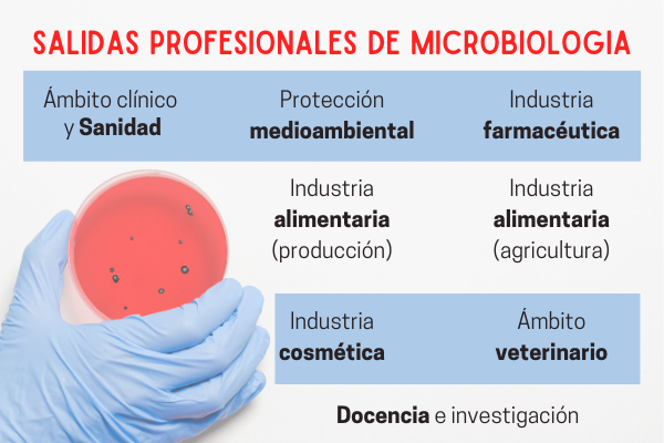 microbiologia scientifica