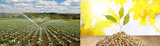 aplicador de productos fitosanitarios