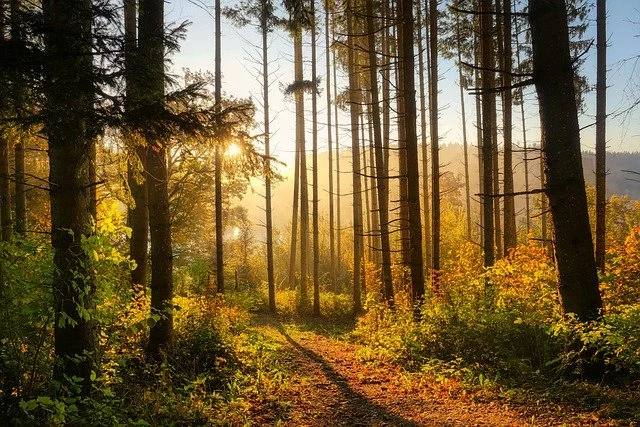 Cosa studiano i geologi?