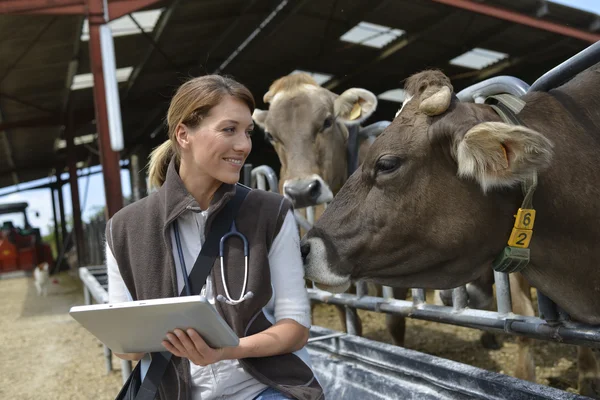 caratteristiche di un veterinario