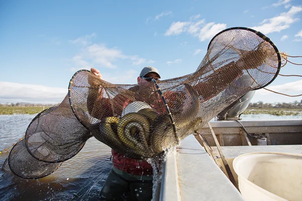 cursos de marinero pescador