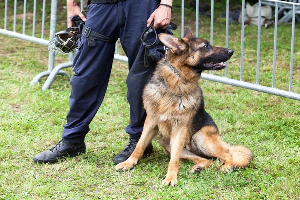 cursos homologados para oposiciones a policia nacional