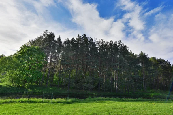 Cursos de Gestión forestal