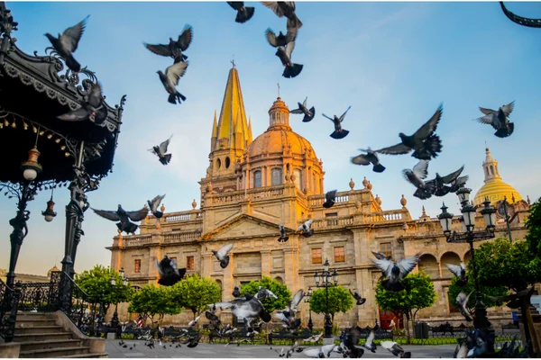 Laureati a Guadalajara