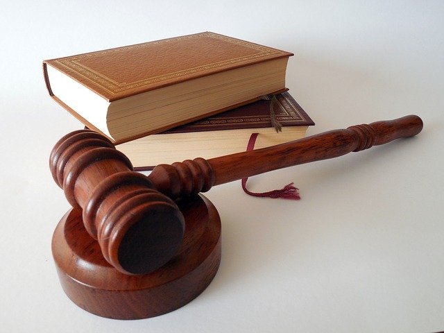 laurea in diritto penale