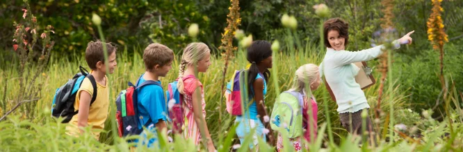 Inteligencia naturalista: Reconectando con la naturaleza en la educación