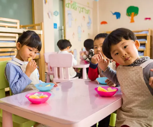 Se studio pedagogia posso fare la maestra d'asilo