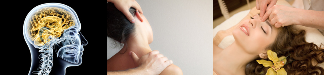 curso de kinesiologia