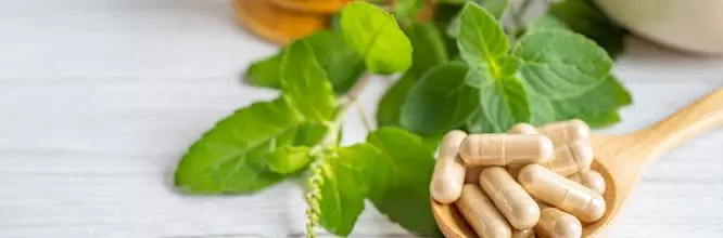 naturopatía cursos gratis