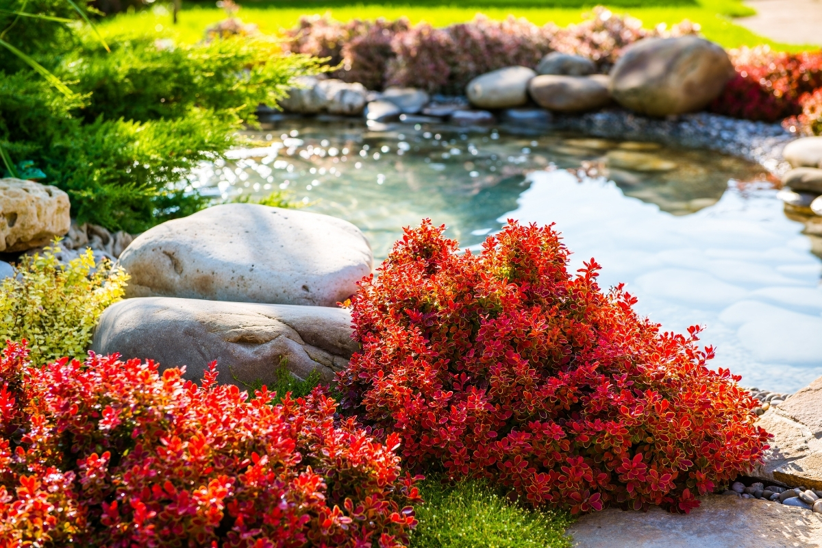 ¿Dónde estudiar jardinería y paisajismo?