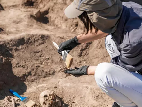 dove lavorano i paleontologi