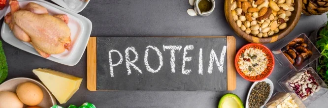 ¿Para qué sirve la proteína? Guía completa