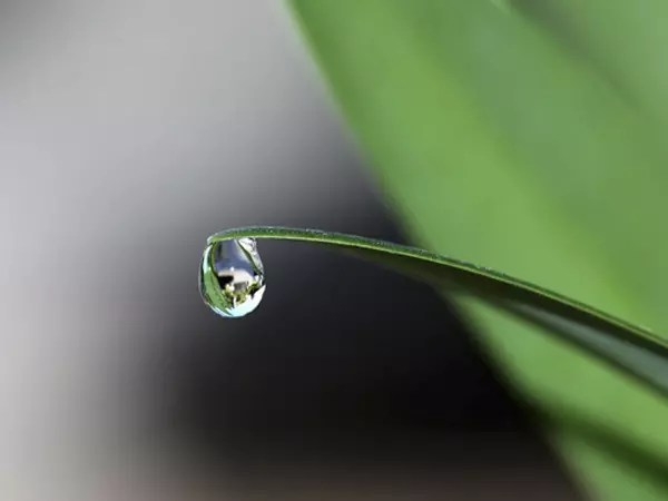 ingegnere di gestione delle risorse naturali