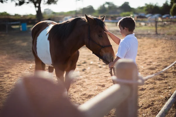 GUIDA ITINERARI A CAVALLO