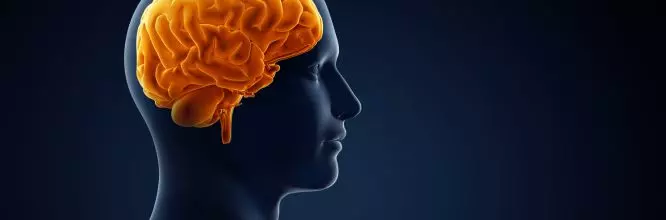 qué estudia la neuropsicología