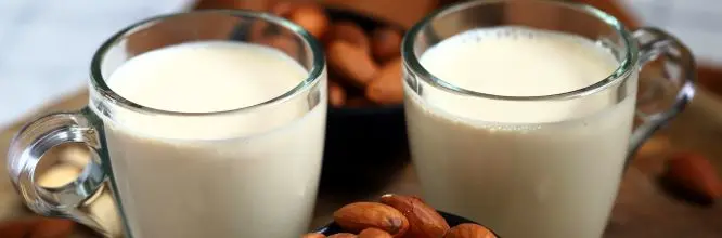 Búlgaros de leche