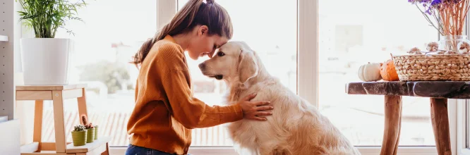 En qué consisten la terapia asistida con perros