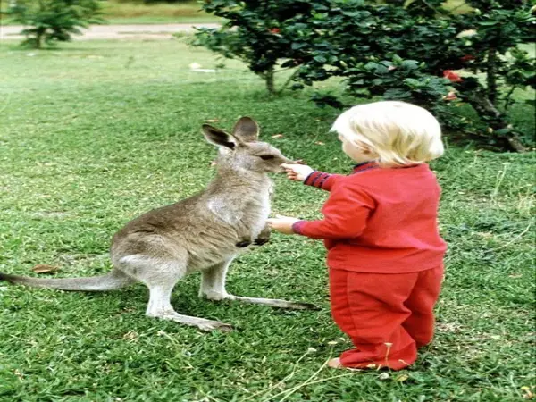 la natura con gli animali