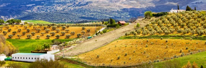 Turismo rural en Andalucía: ¡Paisajes diversos por descubrir! 