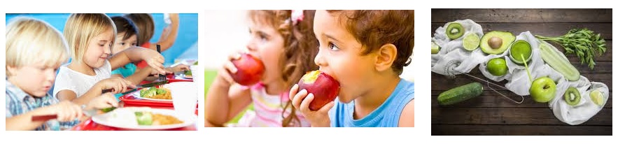 alimentacion saludable