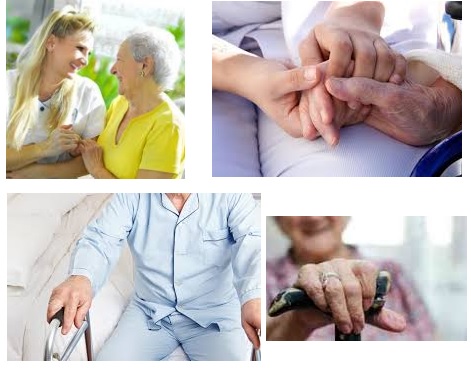 cursos atencion sociosanitaria a distancia atencion sociosanitaria a personas dependientes en instituciones sociales