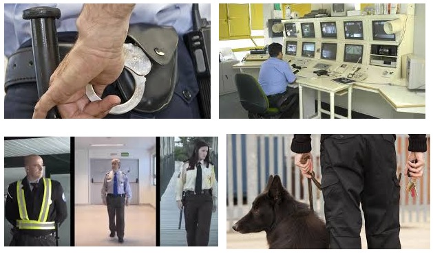 curso de seguridad