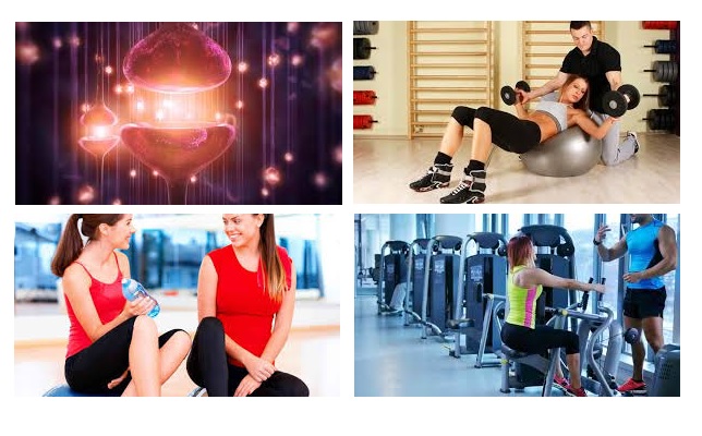 curso de entrenamiento funcional gratis cursos online curso de entrenamiento funcional gratis cursos online