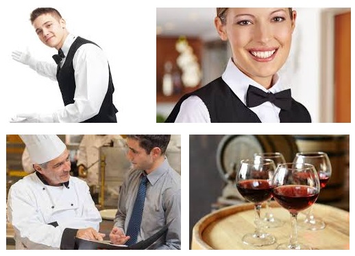 Curso Experto Maitre