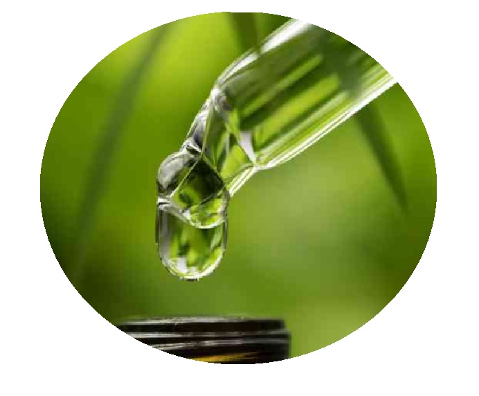 curso de de homeopatia fitoterapia gratis cursos online curso de de homeopatia fitoterapia gratis cursos online