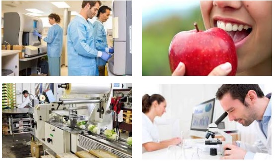 Master Laboratorio Alimentario