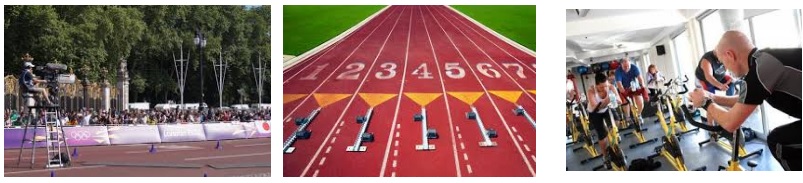 Experto organización gestión de eventos deportivos