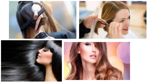 Peluquer&iacute;a (Dirigida a la Acreditaci&oacute;n de las Competencias Profesionales R.D. 1224/2009) (Curso a distancia)