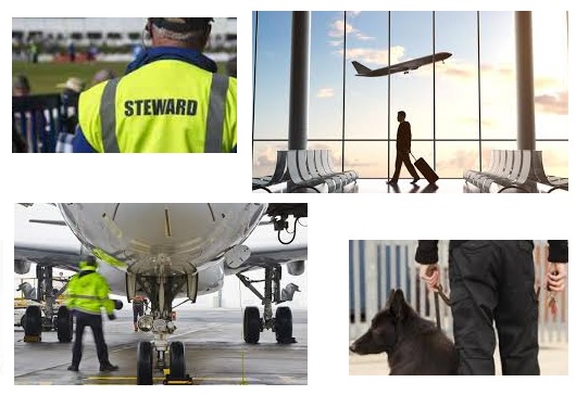 Técnico en Seguridad Privada Aeroportuaria